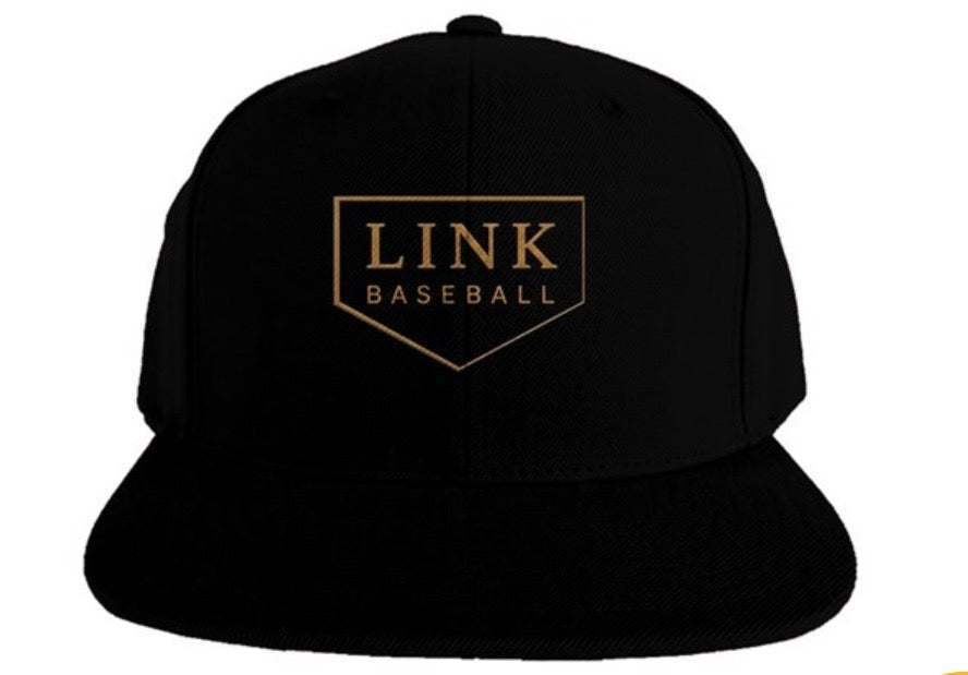 The Signature Link Baseball Hat